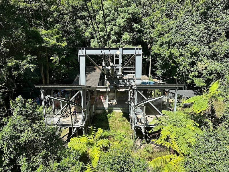 Scenic Cableway - Image 3