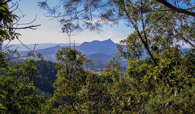 Nightcap National Park - Image 1