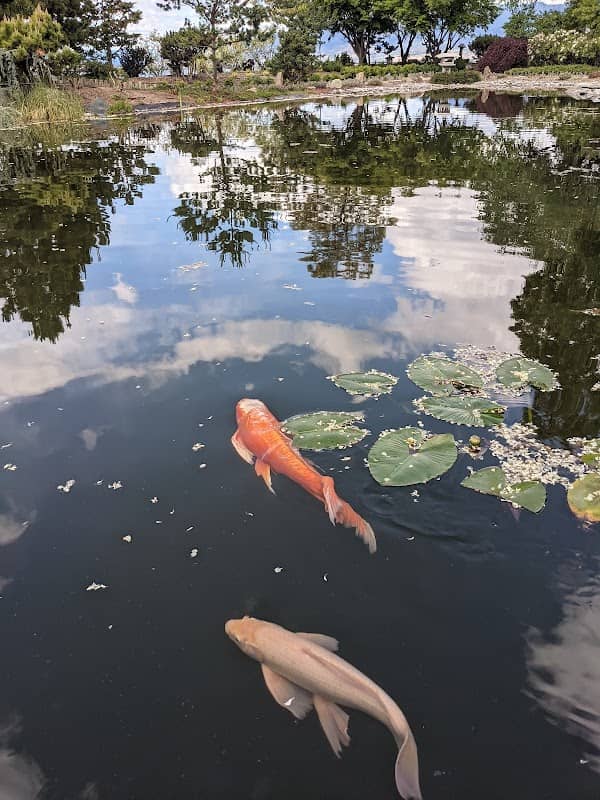 Ikeda Japanese Garden - Image 2