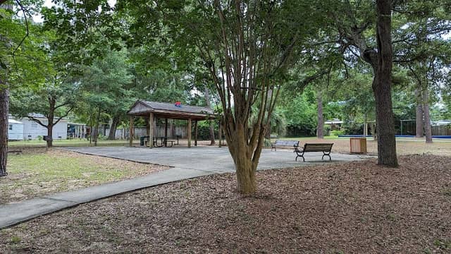 Pineglades Public park - Image 1