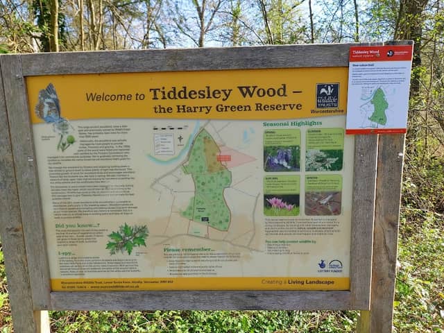 Tiddesley Wood (nature reserve car park) - Image 1