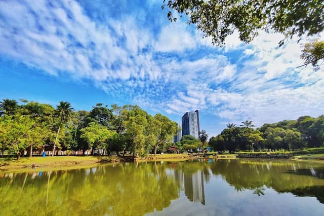 Botanic Garden Canal - Image 2