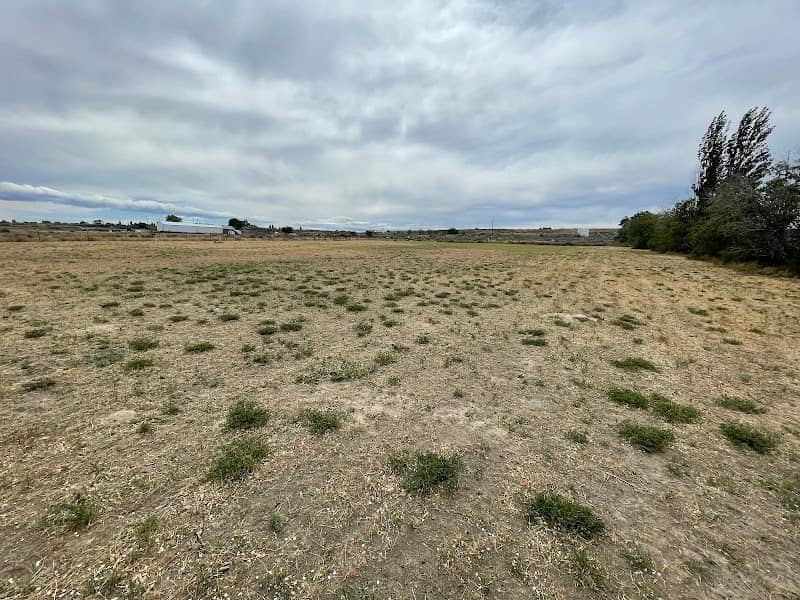 Soap Lake Dog Park - Image 1