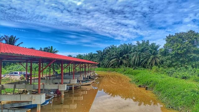 Jetty ramuan cina kecil - Image 1