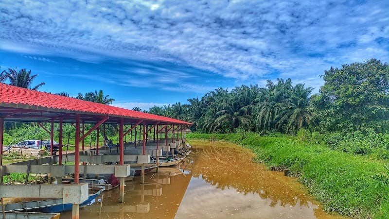 Jetty ramuan cina kecil - Image 1
