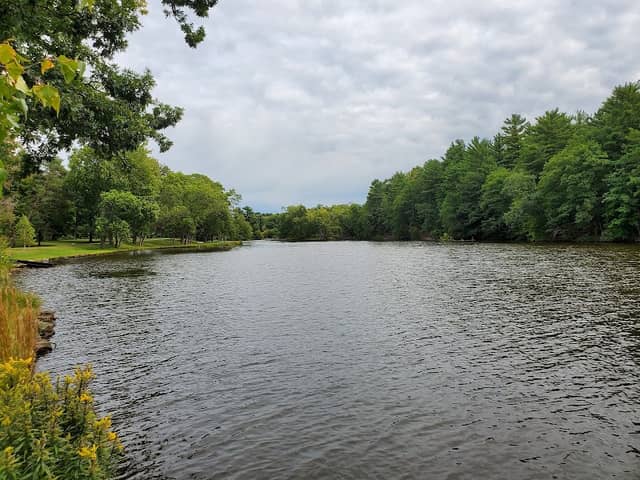 Hanson Park - Image 1