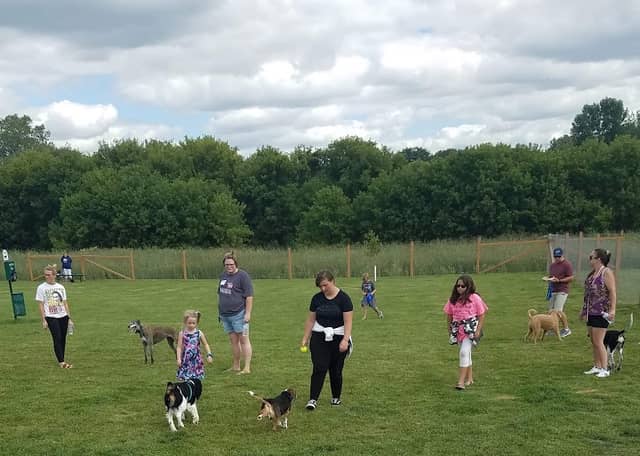 Wag-n-Tag Dog park - Image 2