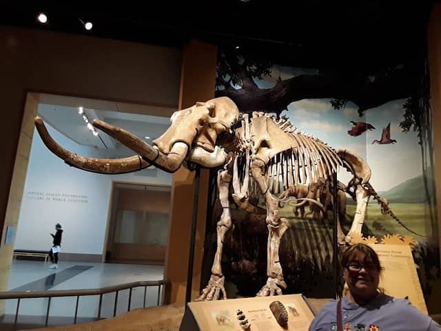 Sam Noble Oklahoma Museum of Natural History - Image 2