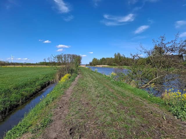 Het Verdronken Bos - Image 3