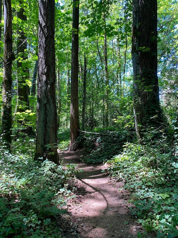 Cook Park Greenbelt - Image 3