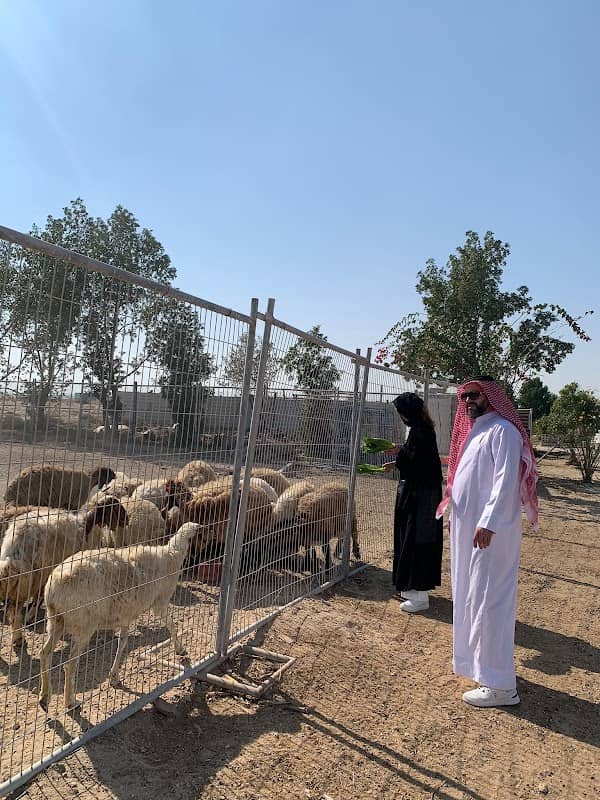 Asayel Farm - Bahraini heritage - Image 2