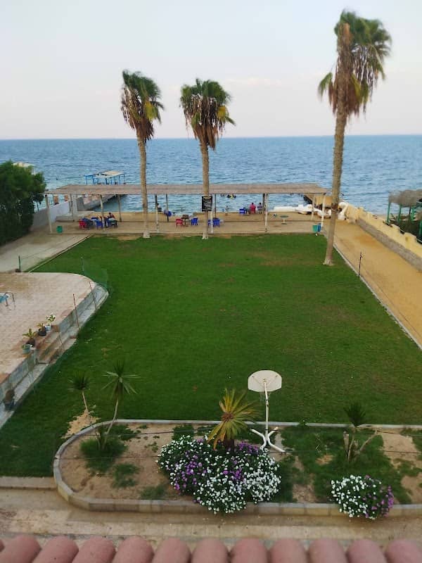 عين النجيب - Image 1