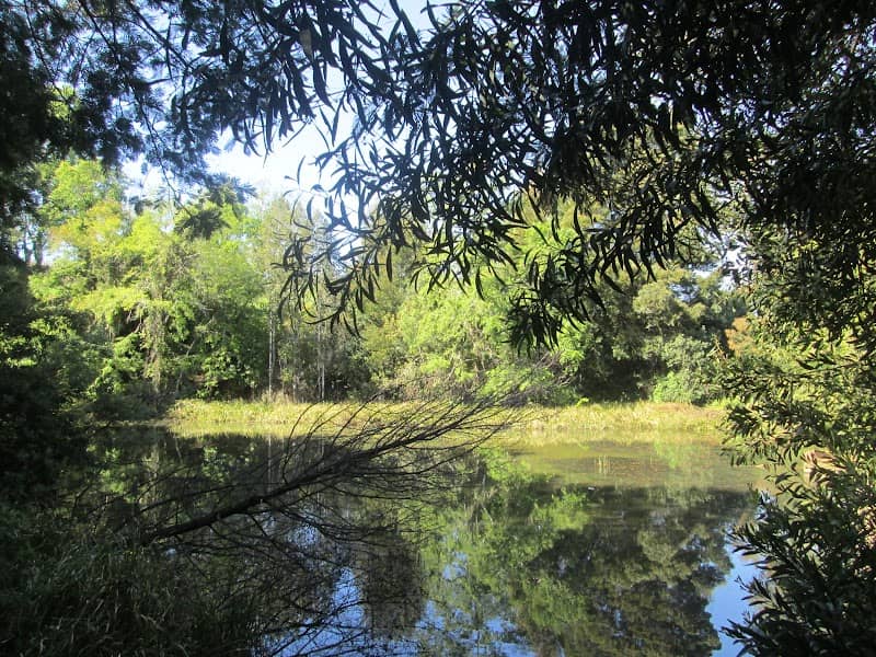 Laguna Portal San Francisco - Image 2