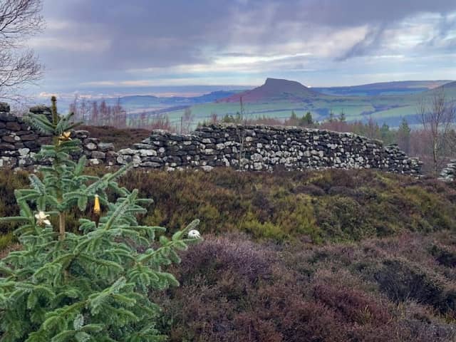 Captain Cook's Monument - Image 2