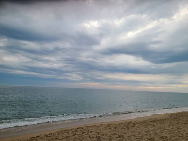 머슬비치 - Image 1