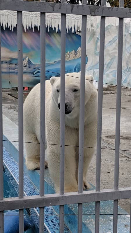 Penza Zoo - Image 1