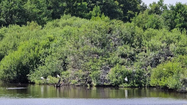 Uitzichtpunt Quackjeswater - Image 1