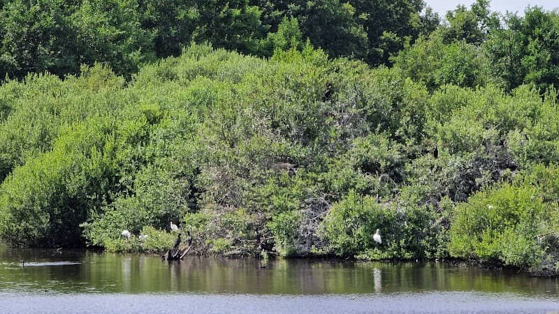 Uitzichtpunt Quackjeswater - Image 1