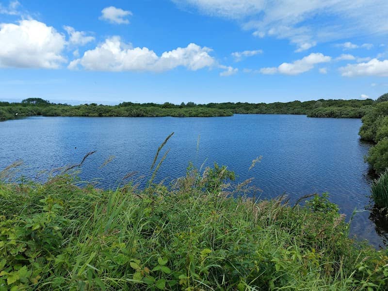 Uitzichtpunt Quackjeswater - Image 2