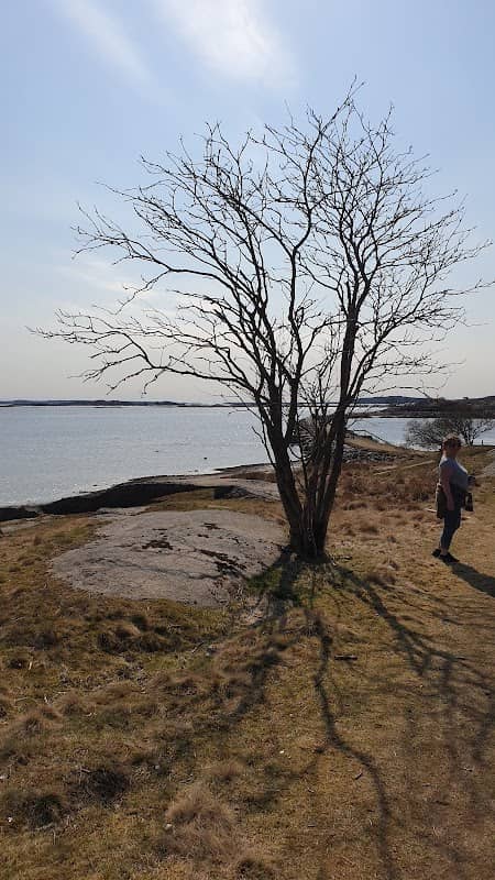Øra naturreservat - Image 1