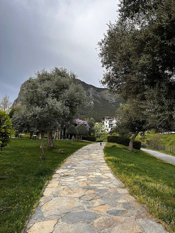 Zeytin Deresi Parkı - Image 2