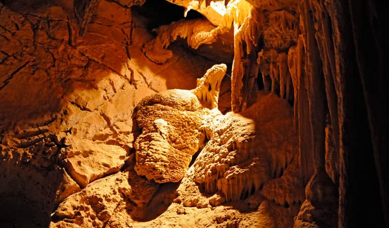 Fig Tree Cave - Image 1