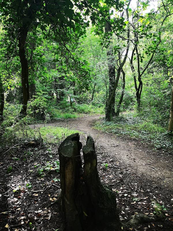 Warndon Woodlands Local Nature Reserve - Image 1