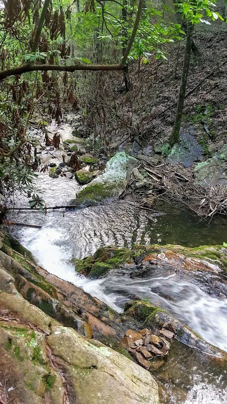 Pond Mountain Wilderness - Image 2