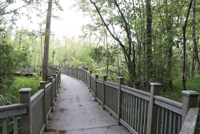 Lockport Elevated Wetlands Board Walk - Image 1