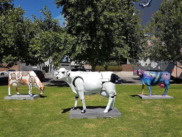 Jarmer's Cows - Image 2