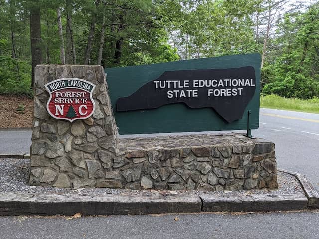 Tuttle Educational State Forest - Image 1