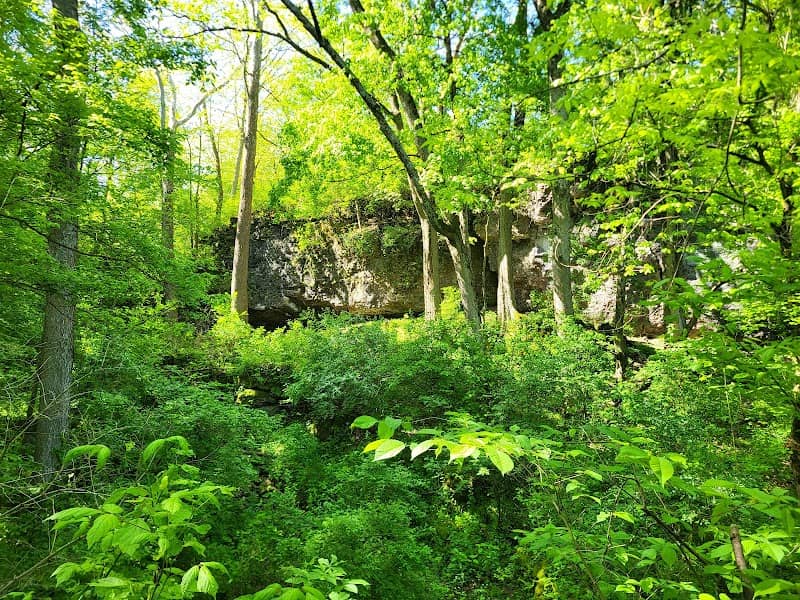 Mad River Gorge & Nature Preserve - Image 2