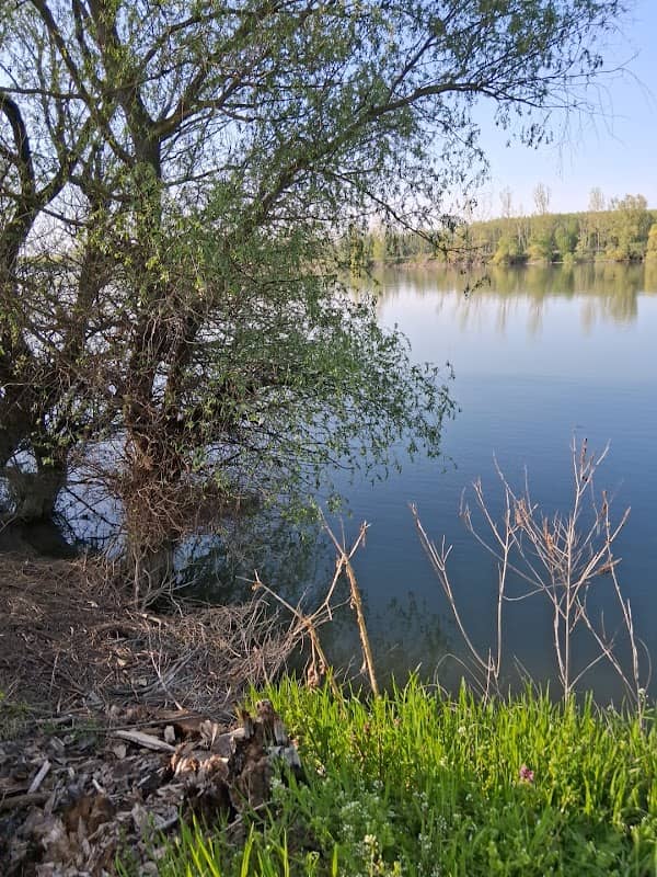 Герана при "Върбата КОЩАНА" - Image 1