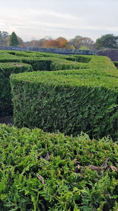 Tilgate Maze - Image 1