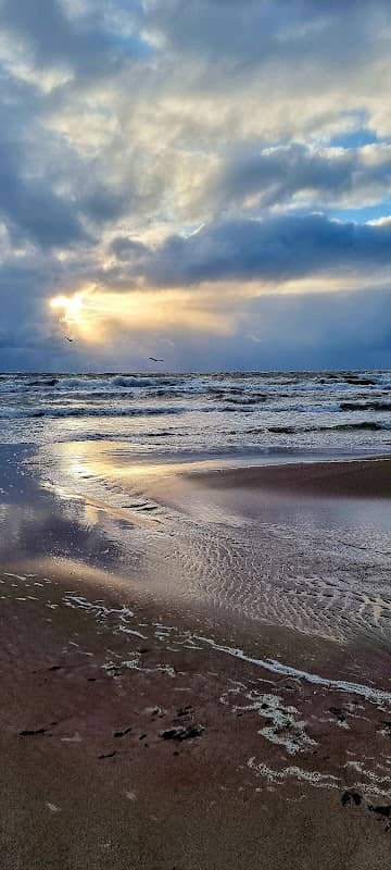Palanga beach - Image 3