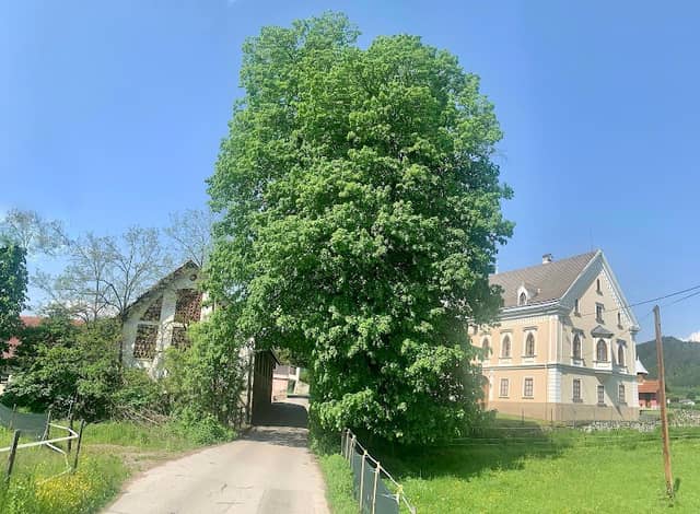 Marienhof - Image 2
