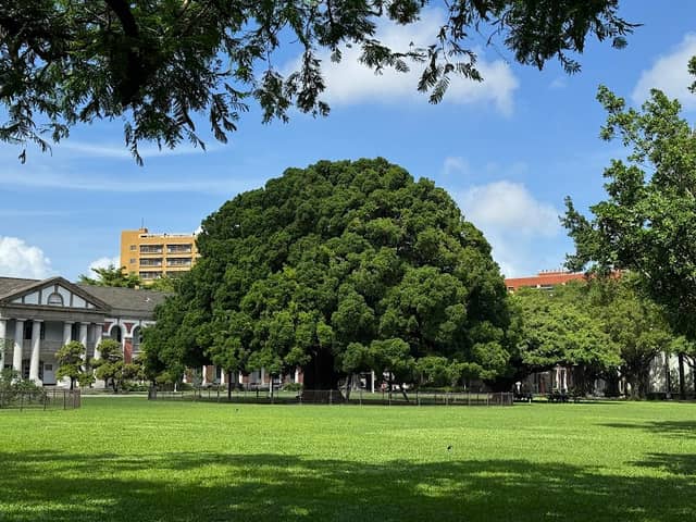 Banyan Garden - Image 1