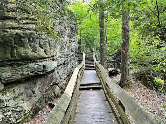Beartown State Park - Image 2