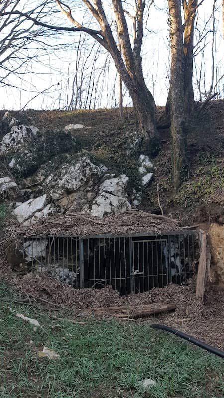 Karlovec (ponor) - Image 2