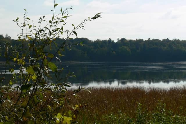 Jezero Komarnik - Image 1