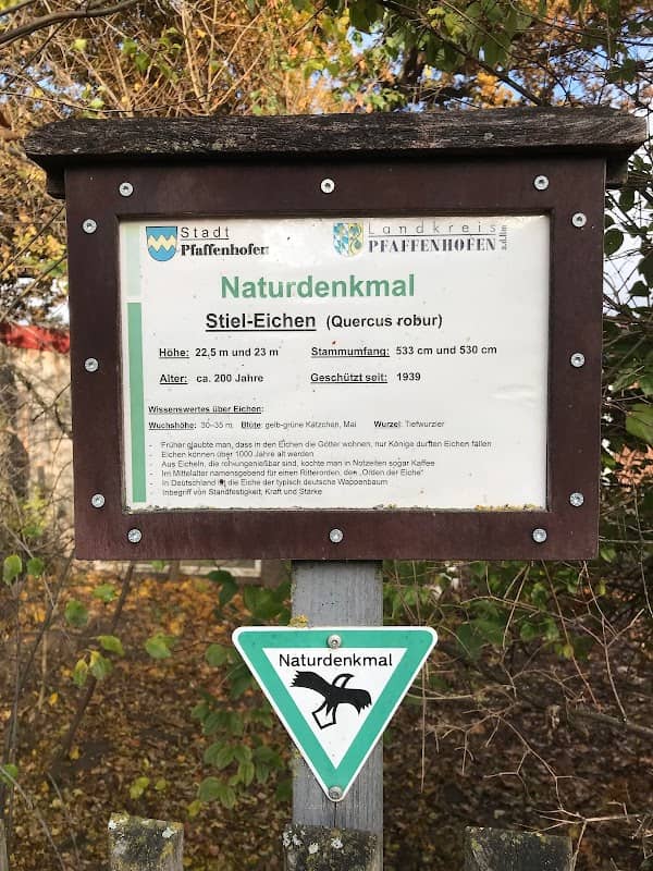 Naturdenkmal "2 Eichen" - Image 2