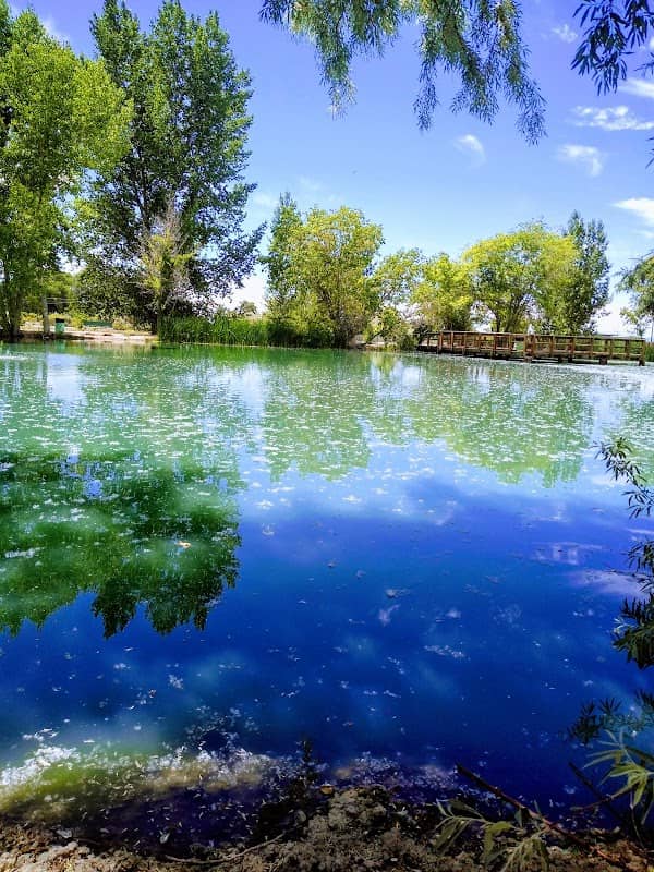 Liberty Pond And Dog Park - Image 1