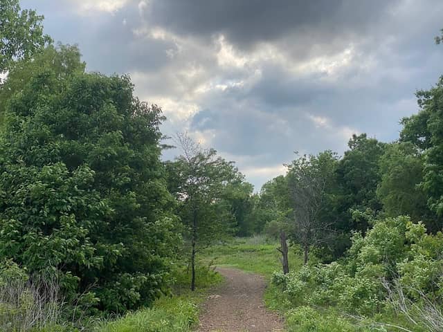 Cottonwood Park Nature Trail - Image 2