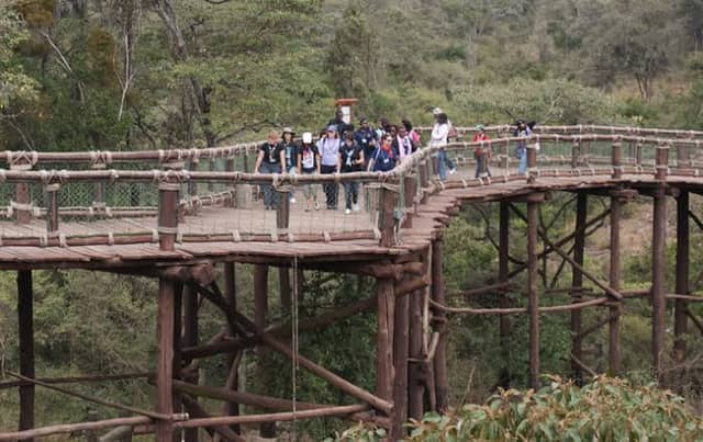 Nairobi Safari Walk - Image 1