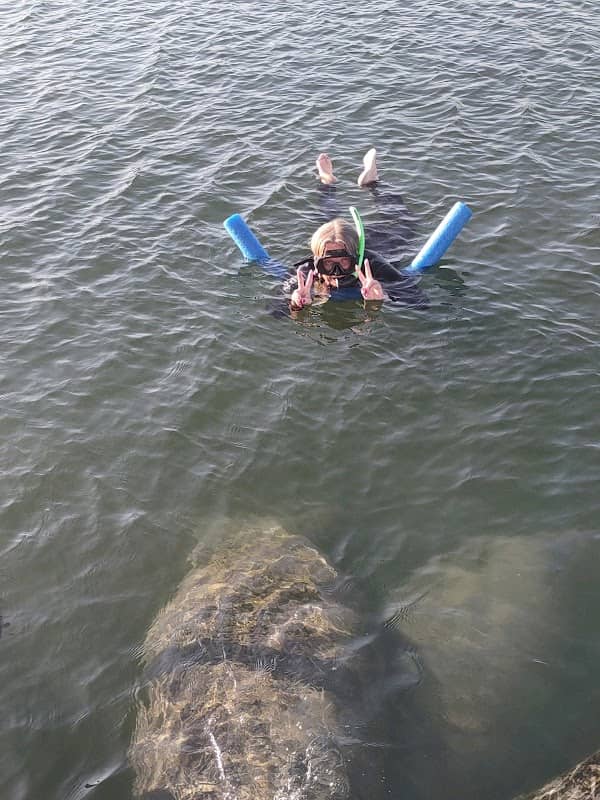 Snorkeling With Manatees - Image 1