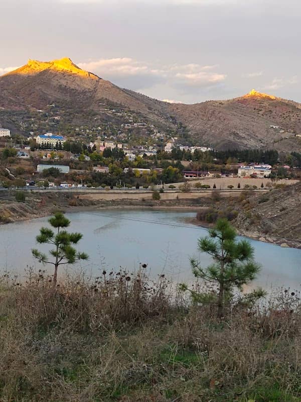 Adalet Hatıra Ormanı - Image 1