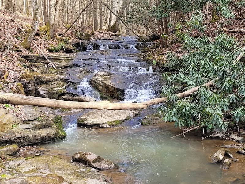 Indian Branch Falls - Image 2