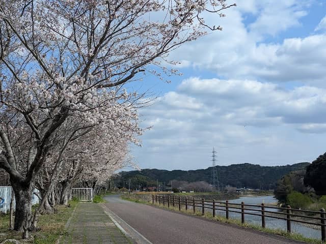 Sakinno Park - Image 1