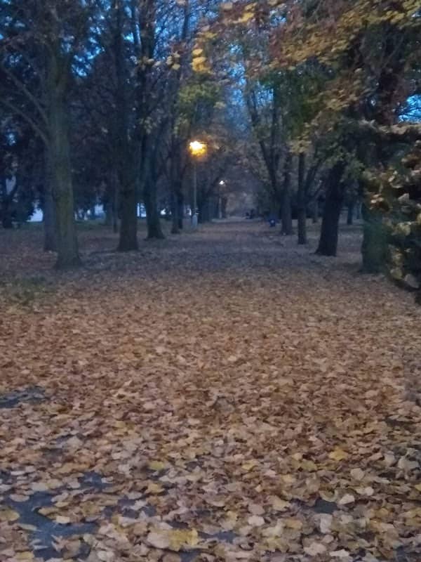 Park Pchery - Image 2