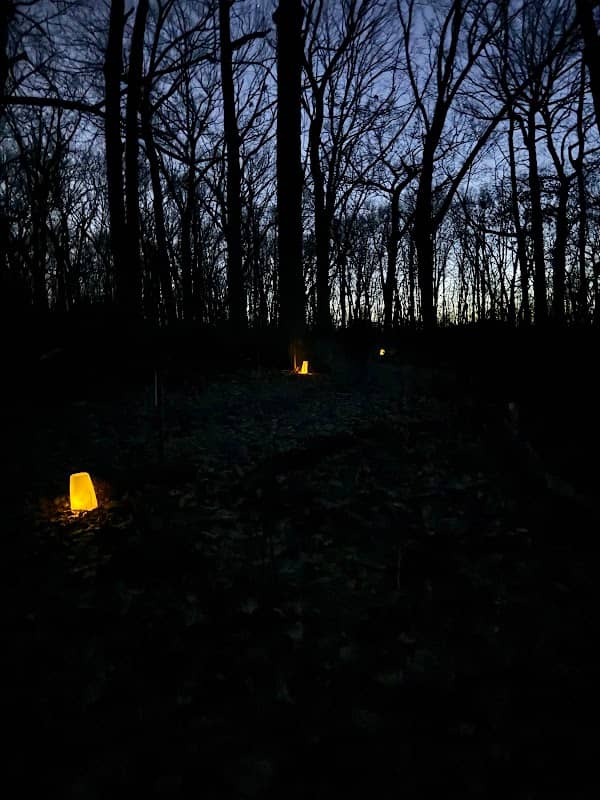 Pringle, nature preserve - Image 2